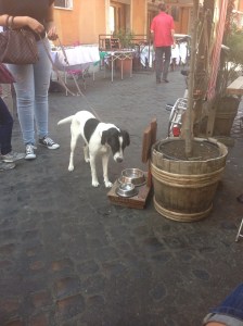 01613939ed45889ef1cf596b4338588209dd03c055