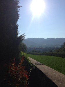 01a0ab72b1a7f62ec65446d070d3822e0c88e14716