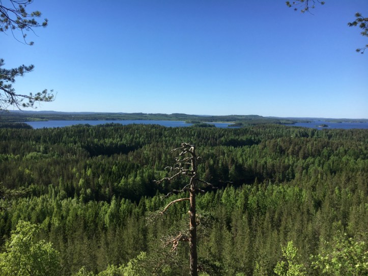 Hyyppäänvuori