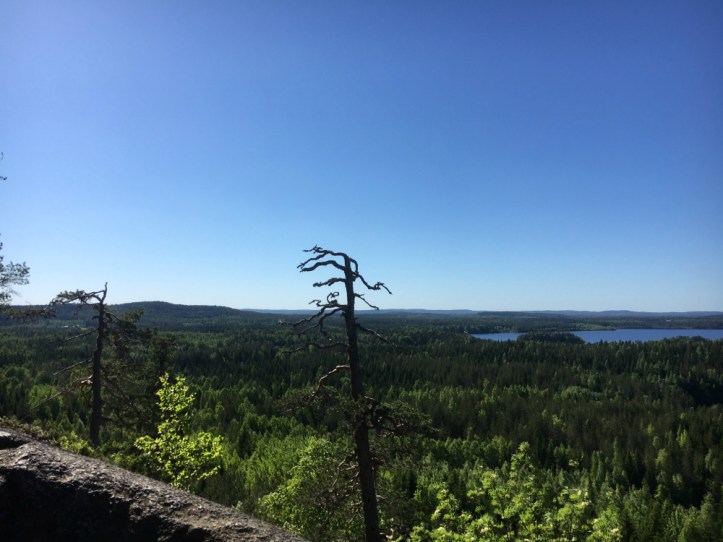 Hyyppäänvuori
