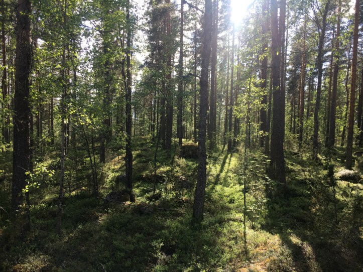 Kanavuoren luontopolku