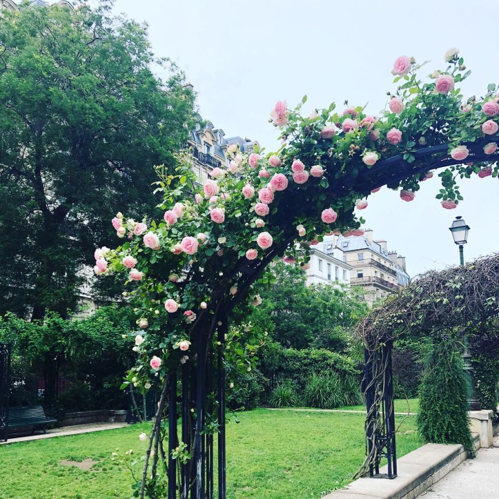 Pariisin ruusuja